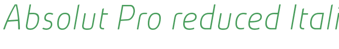 Absolut Pro reduced Italic[4]
